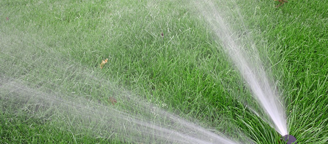 sprinkler-irrigation-repair-installation